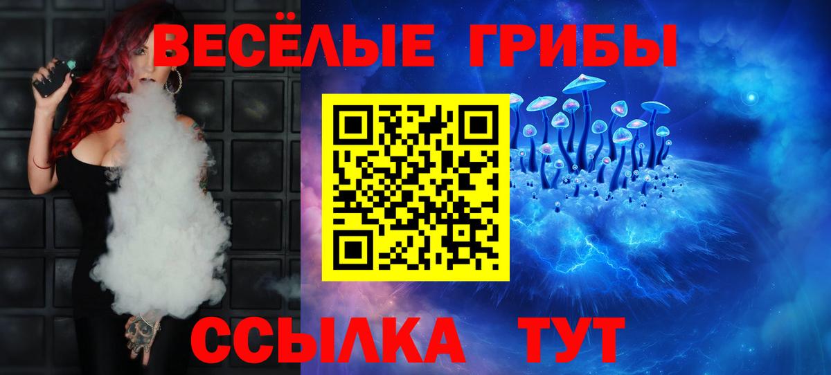 Псилоцибиновые грибы мухоморы  Вход с VPN  где купить наркоту  Зеленокумск 